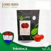 فروش زودرس ترین گوجه فرنگی بنام در زاهدان در گروه خرید و فروش بذر گوجه در یکمیوه