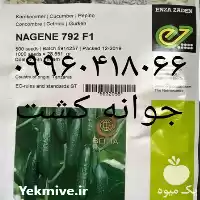 قیمت خرید بذر خیار گلخانه ای در همدان در گروه خرید و فروش بذر خیار در یکمیوه