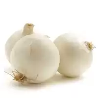 قیمت خرید بذر پیاز سپیدان محصول در گروه خرید و فروش بذر پیاز در یکمیوه