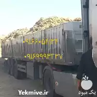 قیمت خرید عرضه و تولید باگاس در اهواز در گروه خوراک دام و طیور در یکمیوه