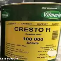 فروش بذر هویج ویلمورین کریستو در اهواز در گروه خرید و فروش بذر هویج در یکمیوه