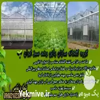 گروه گلخانه سازان پازن در گروه سازنده در یکمیوه
