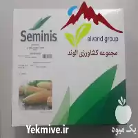 قیمت خرید عرضه پخش بذر ذرت در شیراز در گروه خرید و فروش بذر ذرت در یکمیوه