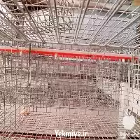 فروش قفس پرورش پولت در تبریز در گروه تجهیزات مرغداری در یکمیوه