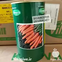قیمت خرید بذر هویج نانتس 2000 در اهواز در گروه خرید و فروش بذر هویج در یکمیوه