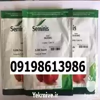 قیمت خرید بذر گوجه فرنگی باسیمو در شیراز در گروه خرید و فروش بذر گوجه در یکمیوه