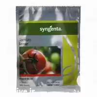 قیمت خرید بذر گوجه ازمیر گلخانه در کرمان  در گروه خرید و فروش بذر گوجه در یکمیوه