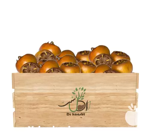 فروش عمده نهال ازگیل پیوندی در تبریز در گروه خرید و فروش نهال در یکمیوه -عکس1