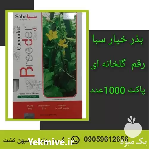 قیمت خرید بذر خیار گلخانه ای در تهران در گروه خرید و فروش بذر خیار در یکمیوه -عکس1