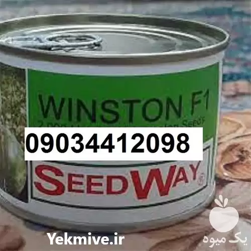 بذر هندوانه وینستون پر فروش در یزد در گروه خرید و فروش بذر هندوانه در یکمیوه -عکس1