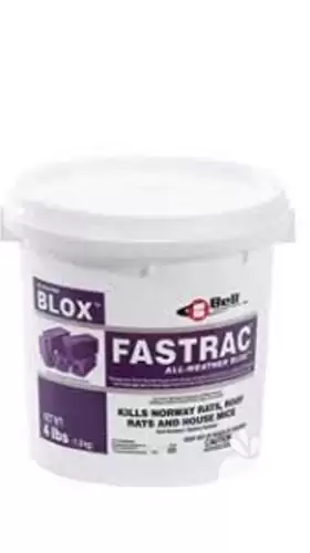 قیمت خرید موش کش فسترک بلاکسی در زنجان در گروه خرید و فروش انواع سم در یکمیوه -عکس1