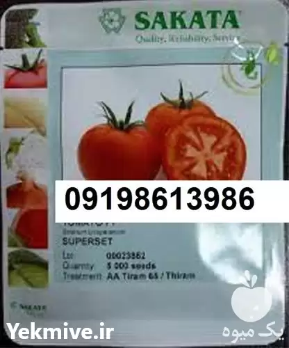 قیمت فروش بذر گوجه فرنگی ساکاتا در شیراز در گروه خرید و فروش بذر گوجه در یکمیوه -عکس1