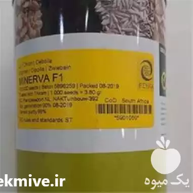 بذر پیاز سفید مینروا قیمت فروش در کرمان  در گروه خرید و فروش بذر پیاز در یکمیوه -عکس1