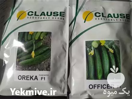 قیمت خرید قیمت بذر خیار آفیسر در گروه خرید و فروش بذر خیار در یکمیوه -عکس1