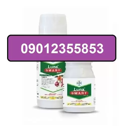 فروش قارچ کش لونا با عملکرد در یزد در گروه خرید و فروش انواع سم در یکمیوه -عکس1