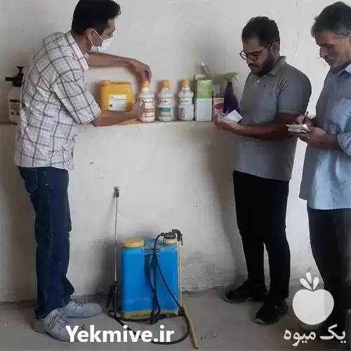 دوره طلایی پرورش شترمرغ در اصفهان در گروه دوره آموزش کشاورزی در یکمیوه -عکس1