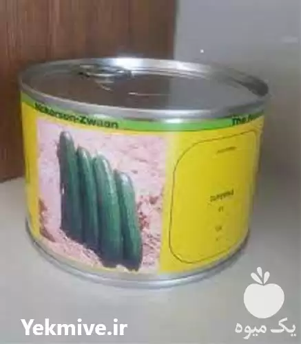 فروش بذر خیار سوپرینا در گروه خرید و فروش بذر خیار در یکمیوه -عکس1