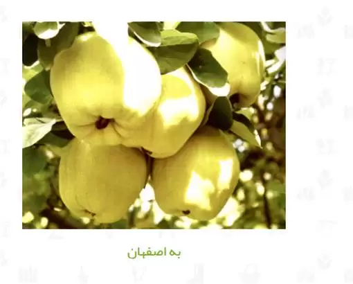 قیمت خرید نهال در اصفهان در گروه خرید و فروش نهال به در یکمیوه -عکس1