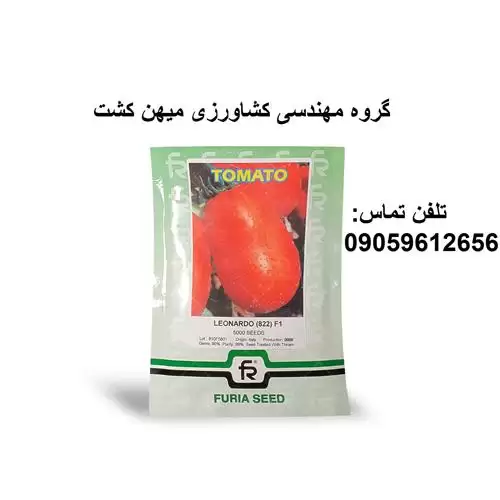 بذر گوجه فرنگی لئوناردو در اهواز در گروه خرید و فروش بذر گوجه در یکمیوه -عکس1
