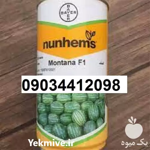قیمت خرید پخش بذر هندوانه مونتانا در گروه خرید و فروش بذر هندوانه در یکمیوه -عکس1
