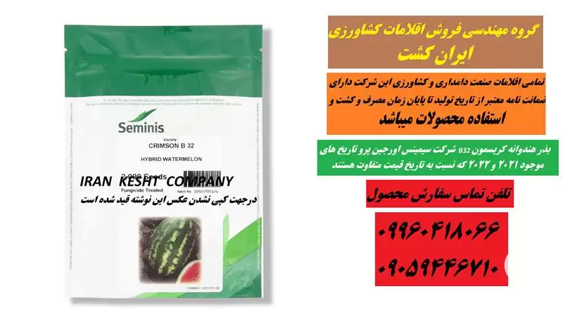 قیمت خرید بذر هندوانه ب 32 در گروه خرید و فروش بذر هندوانه در یکمیوه -عکس1