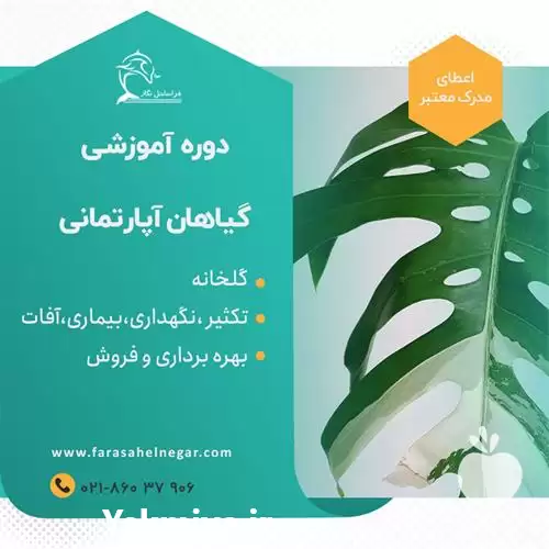 دوره آموزشی پرورش گیاهان آپارتمانی درآمد در گروه دوره آموزش کشاورزی در یکمیوه -عکس1