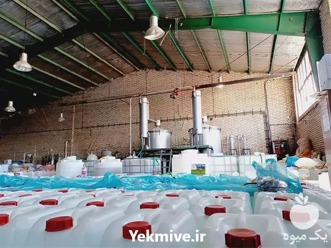 تولید فروش عرق نعنا درمانی ویژه در یزد در گروه خرید و فروش انواع عرقیجات در یکمیوه -عکس1