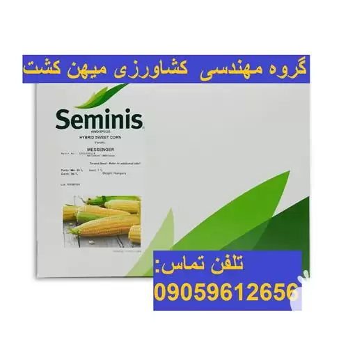 قیمت خرید بذر ذرت شیرین مسنجر در شیراز در گروه خرید و فروش بذر ذرت در یکمیوه -عکس1