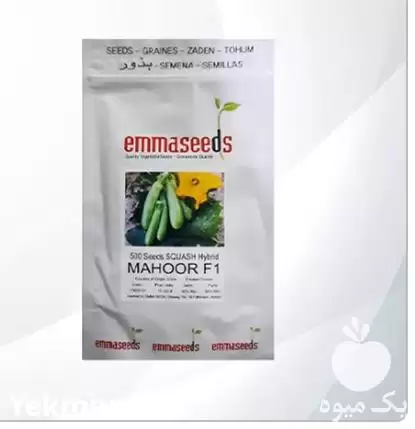قیمت خرید بذر کدو ماهور در ارومیه در گروه خرید و فروش بذر کدو در یکمیوه -عکس1