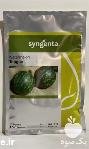 فروش بذر هندوانه تاپگان ارزان در گروه خرید و فروش بذر هندوانه در یکمیوه -عکس1