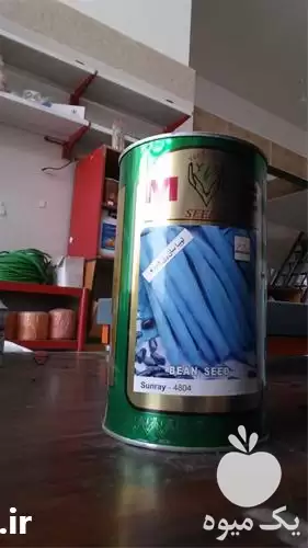 قیمت خرید بذر لوبیا سان در تبریز در گروه خرید و فروش انواع بذر در یکمیوه -عکس1