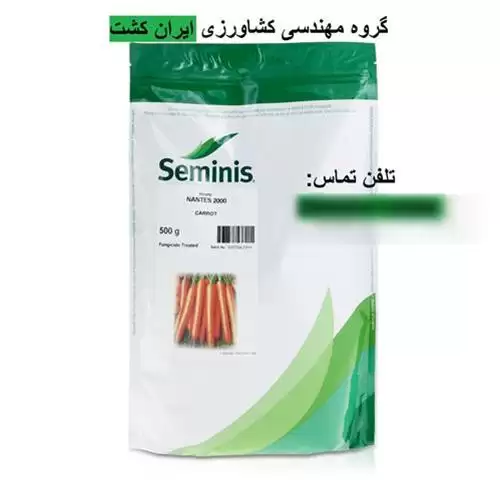 بذر هویج نانتس 2000 سمینیس در همدان در گروه خرید و فروش بذر هویج در یکمیوه -عکس1
