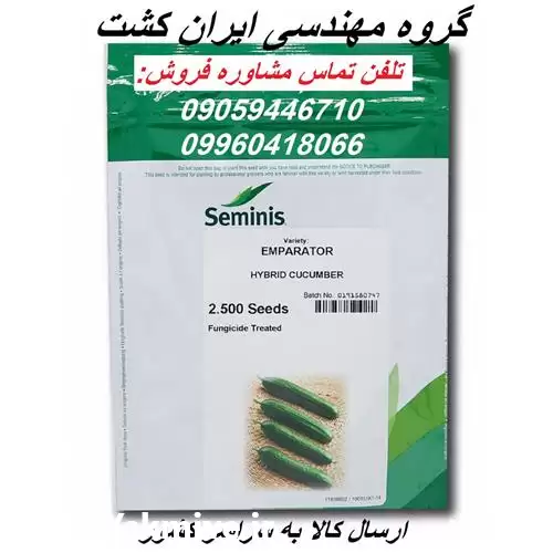 فروش بذر خیار هیبرید امپراطور در مشهد در گروه خرید و فروش بذر خیار در یکمیوه -عکس1