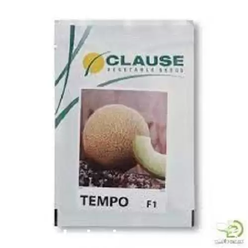 فروش ملون گالیاگالا 688 در شیراز در گروه خرید و فروش ملون در یکمیوه -عکس1