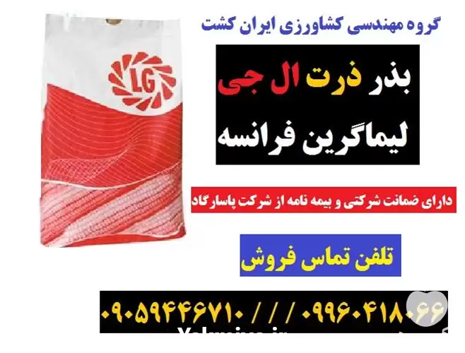قیمت خرید بذر ذرت دو منظوره در گروه خرید و فروش بذر ذرت در یکمیوه -عکس1