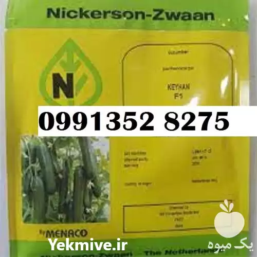 فروش بذر خیار بذر کیهان در گروه خرید و فروش بذر خیار در یکمیوه -عکس1