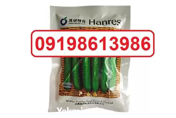 فروش بذر خیار ویکتوریا در شیراز در گروه خرید و فروش بذر خیار در یکمیوه -عکس1