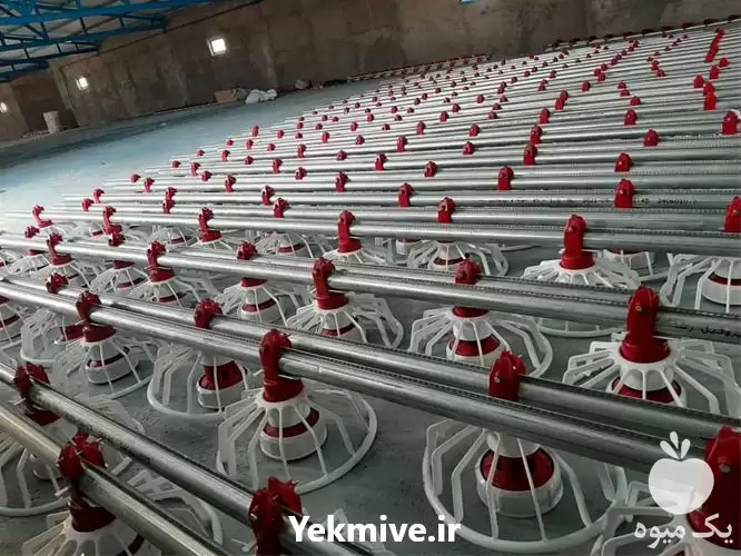 قیمت خرید عرضه آبخوری دانخوری مرغ در اهواز در گروه تجهیزات مرغداری در یکمیوه -عکس1