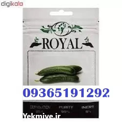 بذر خیار رویال قیمت پر فروش در گرگان در گروه خرید و فروش بذر خیار در یکمیوه -عکس1