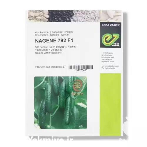 فروش بذر خیار ایمپرس ویلمورین در گروه خرید و فروش بذر خیار در یکمیوه -عکس1