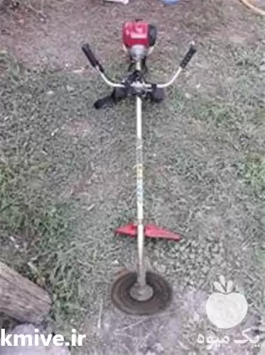 فروش انوع علف زن در کرج در گروه علف تراش و علف زن در یکمیوه -عکس1