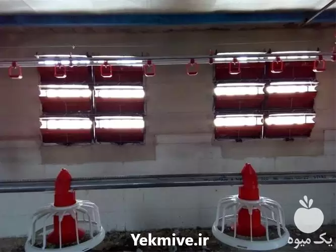 فروش ساخت نوار نقاله و آسیاب در کرج در گروه تجهیزات مرغداری در یکمیوه -عکس1