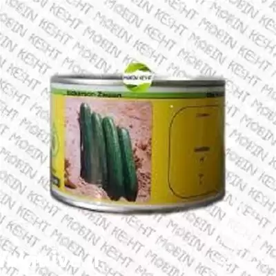 قیمت خرید بذر خیار سوپرینا پخش در کرمان  در گروه خرید و فروش بذر خیار در یکمیوه -عکس1