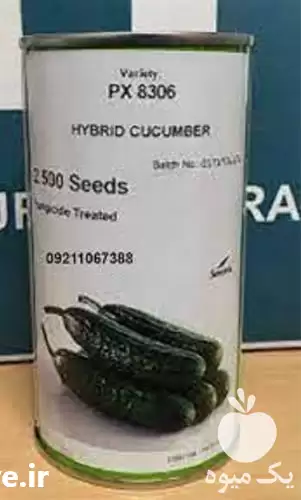 قیمت خرید سفارش بذر خیار ویکتوریا در گروه خرید و فروش بذر خیار در یکمیوه -عکس1