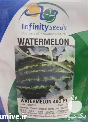 قیمت خرید بذر هندوانه 40 سی در شیراز در گروه خرید و فروش بذر هندوانه در یکمیوه -عکس1