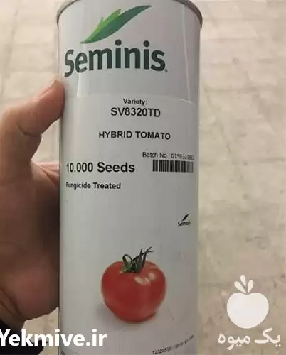 فروش بذر گوجه فرنگی ثمین رقم در اصفهان در گروه خرید و فروش بذر گوجه در یکمیوه -عکس1