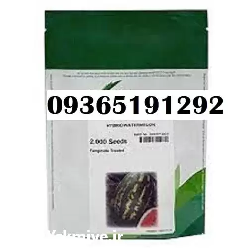 فروش بذر هندوانه 32 b در شیراز در گروه خرید و فروش بذر هندوانه در یکمیوه -عکس1