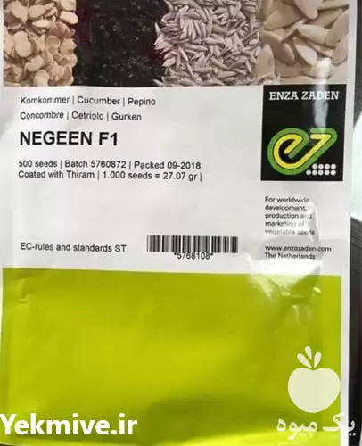 فروش بذر خیار نگین باصرفه اقتصادی در گروه خرید و فروش بذر خیار در یکمیوه -عکس1
