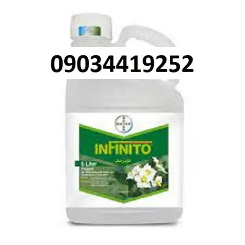 قارچ کش اینفتیو پر فروش اصل در کرمانشاه در گروه خرید و فروش انواع سم در یکمیوه -عکس1