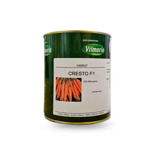 قیمت خرید بذر هویج کریستو ویلمورین در بوشهر در گروه خرید و فروش بذر هویج در یکمیوه -عکس1